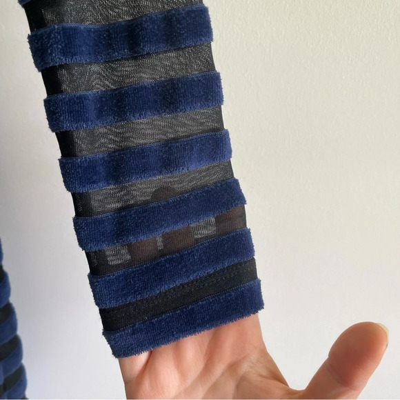 BAUM UND PFERDGARTEN Jeraldine velvet sheer stripe Dress small - Picture 5 of 8